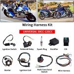 ATV Wiring Harness and Electrical Parts Kit