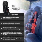 UTVMA Bump Seat for RZR 1000 & 900