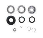 Honda Foreman 400 ATV Rear Differential Kit