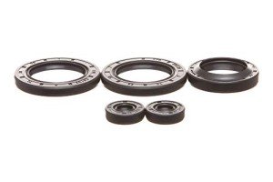 Polaris 300/400 Engine Oil Seal Rebuild Kit