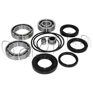 Honda ATV TRX300FW Rear Differential Bearing Kit