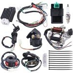 ATV Complete Wiring Harness for 4 Stroke Models