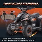 WOOSTAR Disc Brake Pads for Taotao ATVs