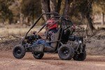 Coleman GK200 Gas Powered Dual Seat Go-Kart