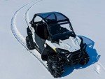 Dark Tinted RZR Roof for Polaris RZR Trail