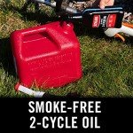 STA-BIL Synthetic 2-Cycle Oil with Fuel Stabilizer