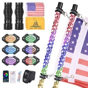 4FT LED Whip and Rock Light Kit Combo