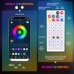 4FT LED Whip and Rock Light Kit Combo