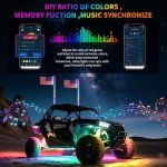 4FT LED Whip and Rock Light Kit Combo