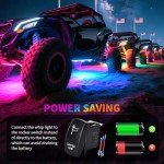 4FT LED Whip and Rock Light Kit Combo