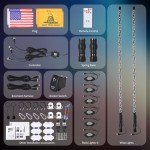 4FT LED Whip and Rock Light Kit Combo