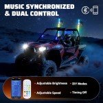 RGB LED Whip Lights with Remote Control - 2 Pack
