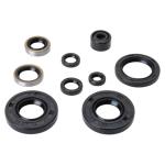 Tusk ATV Engine Oil Seal Kit