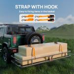 Tuffiom 54" Hitch Mount Cargo Carrier Rack