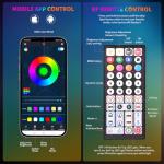 LED Whip Light Kit with Remote Control and Music