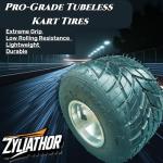 Zyliathor Electric Off-Road Go Kart, 2000W Motor