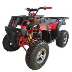 X-PRO Jaguar 200 ATV with Automatic Transmission