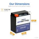ZIPPBATTERY 12V 270 CCA AGM Battery for ATV