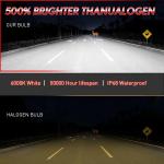 Super Bright 6000K Honda ATV Light Bulbs, 2-Pack