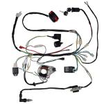 ATV Wiring Harness Kit for Taotao 4 Wheelers