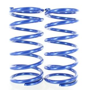 Polaris Blue Metallic Tender Spring Kit