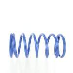Polaris Blue Metallic Tender Spring Kit