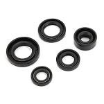 5-Piece Engine Oil Seal Kit for ATVs