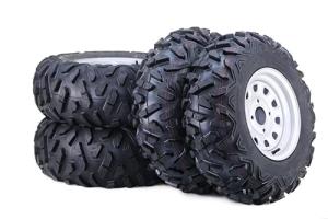 WANDA 25x8-12 ATV Tire and Wheel Set