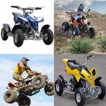 Universal 215mm Rear Shock Absorber for ATVs and Bikes