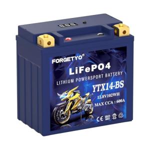 YTX14-BS Lithium ATV and Motorcycle Battery 12V