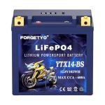 YTX14-BS Lithium ATV and Motorcycle Battery 12V
