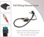 Complete Wiring Harness Kit Coil CDI Regulator Gy6 Wire Harness Fit for 50cc 70CC 90CC 110CC 125cc 4 Stroke Chinese ATV Pit Bike Taotao Go Kart Scooter Scooter Quad Dirt Bike