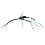 Wiring Harness for XR100, XR80, CRF80, CRF100