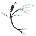 Wiring Harness for XR100, XR80, CRF80, CRF100