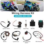 LAXEEM ATV Wiring Harness and Spark Plug Kit