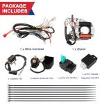HOOUP ATV Wiring Harness and Ignition Kit