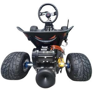 Zyliathor Electric Off-Road Go Kart, 2000W Motor