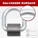 Leero 1/2" Heavy Duty D-Rings for Trailers