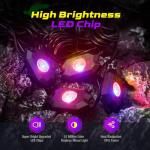 Multi-Color LED Rock Lights Kit with App Control