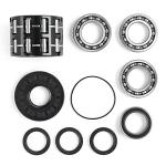 Polaris Ranger 800 RZR Differential Bearing Kit