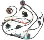 125cc ATV Wiring Harness Kit for GY6 Models