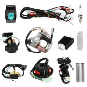 Complete Wiring Harness Kit for TaoTao & Coolster ATVs
