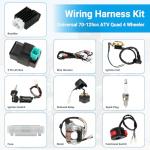 Complete Wiring Harness Kit for TaoTao & Coolster ATVs