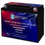 Mighty Max Battery YTX20L-BS for Honda Rincon