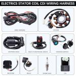 Complete CDI Wiring Harness for 150cc-300cc ATVs