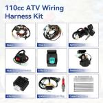 SHIQINHA Wiring Harness Kit for Tao Tao ATVs