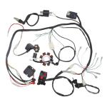 Complete CDI Wiring Harness for 150cc-300cc ATVs