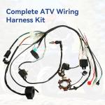 SHIQINHA Wiring Harness Kit for Tao Tao ATVs