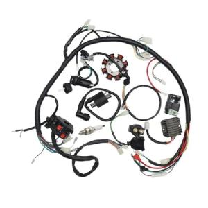 ATV Wiring Harness Electrics Stator Coil 150CC-250CC