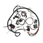 ATV Wiring Harness Electrics Stator Coil 150CC-250CC